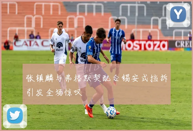 张镇麟与弗格默契配合锡安式挡拆引发全场惊叹