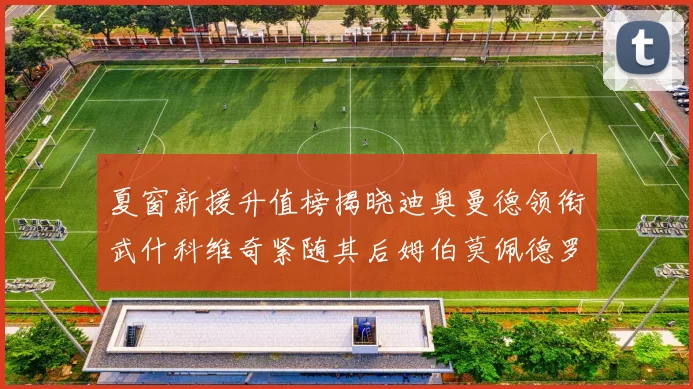 夏窗新援升值榜揭晓迪奥曼德领衔武什科维奇紧随其后姆伯莫佩德罗表现抢眼